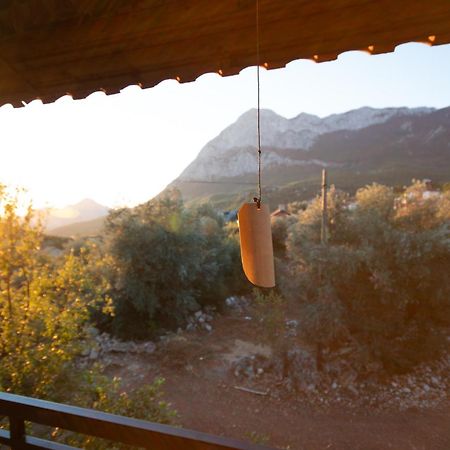 Vita Camping Otel Geyikbayiri Екстериор снимка